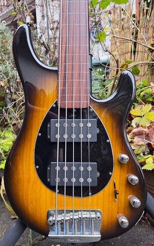 Music Man Sterling USA 5 String HH lined Fretless TOP Zustand