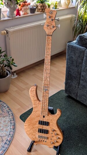 Frog Signature Pi 4a / Preis VB