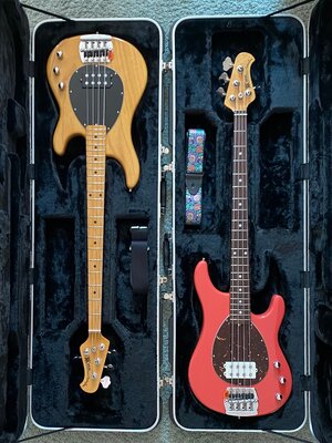 Music Man Classic Sterling (USA), Coral Red oder Natural, Rosewood oder Maple
