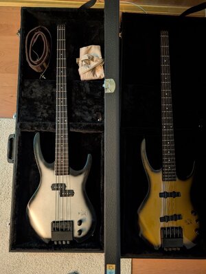 PXL_20250828_185657124.jpg PXL_20250828_185657124.jpg