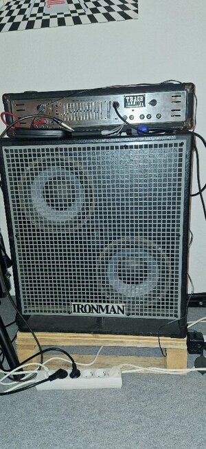 Musician's Design Ironman II (2x10") (Mitte Dezember auch in Esslingen abholbar)