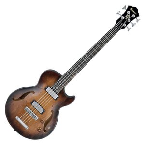Ibanez AGBV205a gesucht