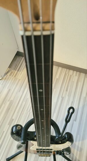 oecoi_WhatsApp Image 2025-12-04 at 12.37.58.jpeg