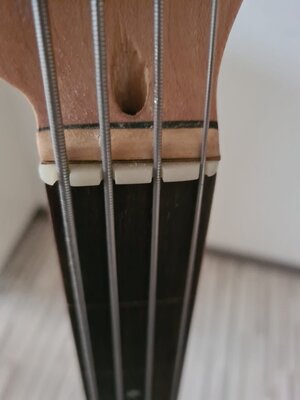 tclku_WhatsApp Image 2025-12-04 at 12.37.58.jpeg