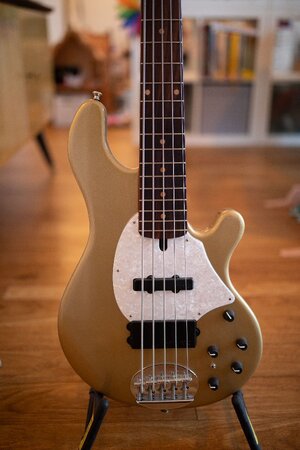 Lakland USA 55-94 Classic Gold 4.1kg