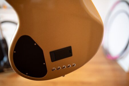 Lakland USA 55-94-8.jpg