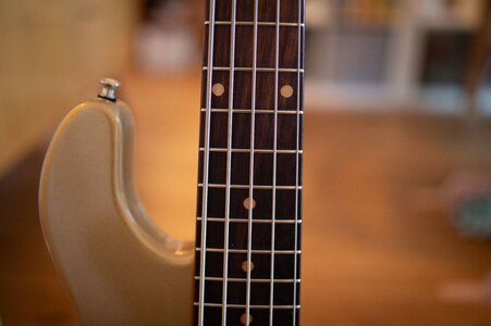 Lakland USA 55-94-4.jpg