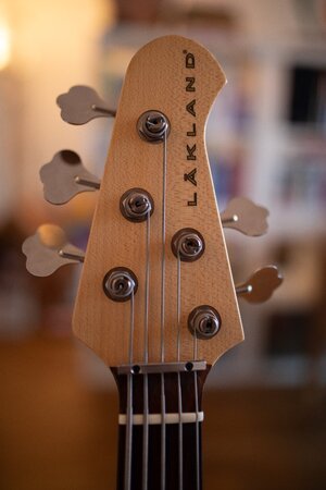 Lakland USA 55-94-5.jpg