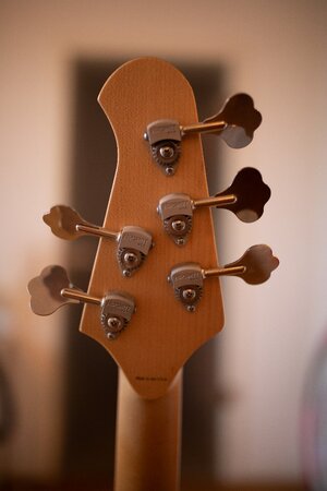 Lakland USA 55-94-6.jpg