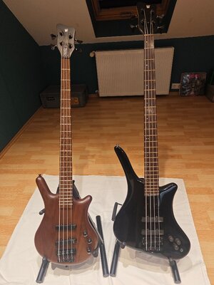 Warwick Thumb NT / Dolphin Pro II
