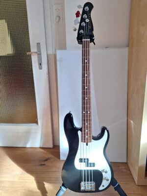 Ashdown The Arc Prezi