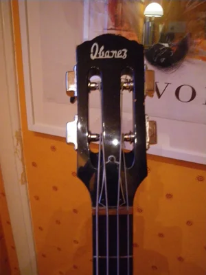 IMGP0338 (Copy).webp