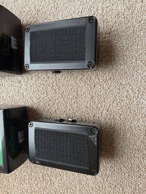 Groß (IMG_1787).jpeg