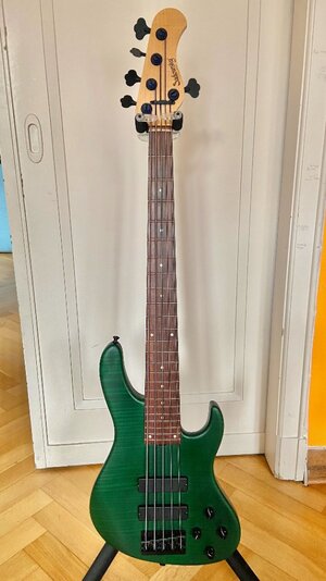 Sadowsky 5 ganz.jpeg