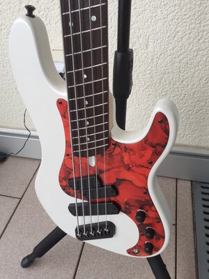 Dingwall SP 1 Jetzt Mit Versand!