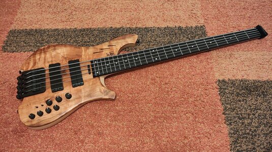 Le Fay Herr Schwarz Custom 5 headless