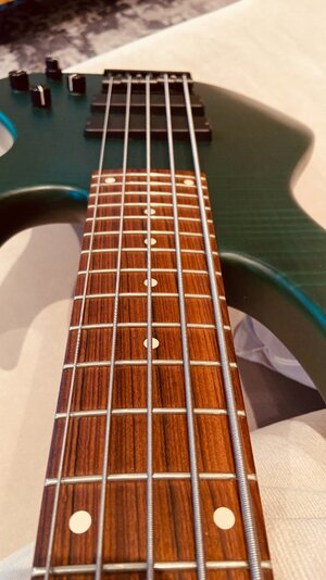 Sadowsky NYC 5 Modern