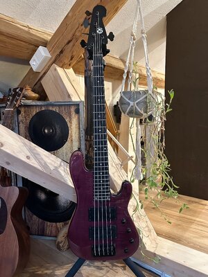Custom 5-Saiter Bass mit WAL-Bass Specs von Maruszczyk