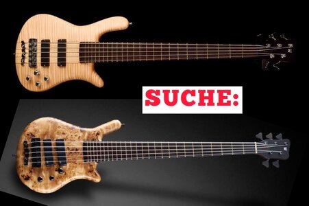 SUCHE: Warwick Thumb 5 oder Streamer 5 (Broadneck bevorzugt)