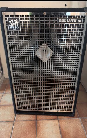 SWR Goliath Senior 6x10
