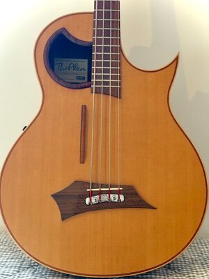 Warwick Alien 4 (kein Rockbass)