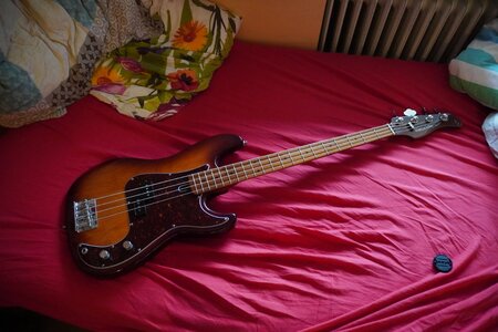 Marcus Miller P5 Alder-4 TS