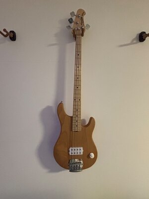 Joe Dart Bass