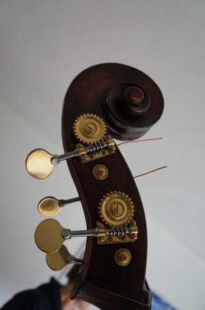 DSC02880.jpeg DSC02880.jpeg