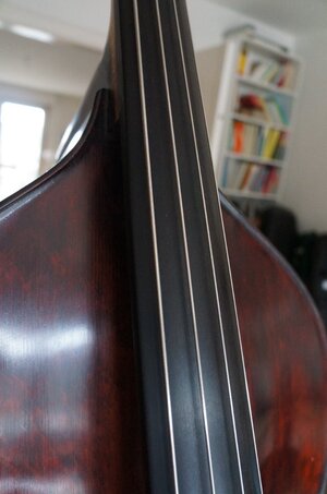 DSC02881.jpeg DSC02881.jpeg