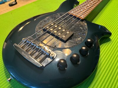 Musicman Bongo5H five String USA