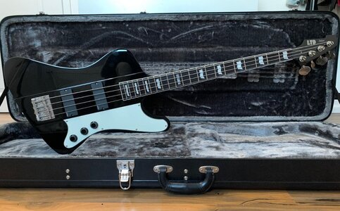 WhatsApp Image 2025-12-20 at 15.22.04.jpeg