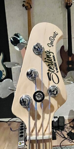 Joe Dart Sterling by Music Man Bass