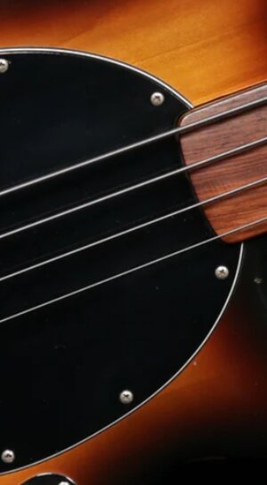 Suche Music Man Stingray, Sterling(USA) oder Sabre fretless