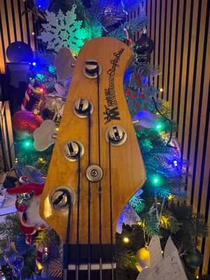 Musicman Stingray Classic 5 USA