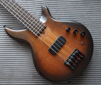 Skjold Greyling 5 (2021, Quad Coil, Passive)