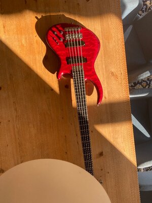 Sale or trade: ALEMBIC ROGUE 5