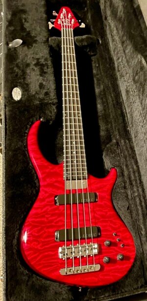 Sale or trade: ALEMBIC ROGUE 5