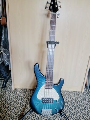 E-BASS  "Sandberg Basic" / 5-Saiter / Sehr guter Zustand - in treue Hände zu geben!