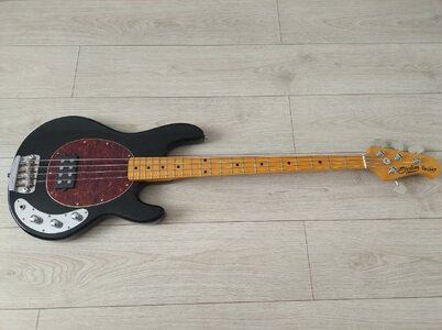 Sterling by Music Man Ray34CA