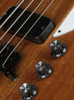 Suche Gibson Thunderbird