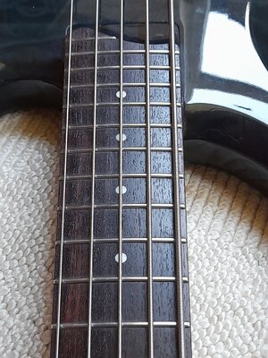 4 Ibanez BTB 405.jpg