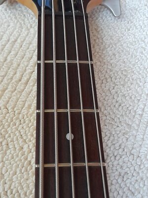 5 Ibanez BTB 405.jpg