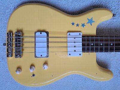 Epiphone Newport Shorty mit Bassculture-PUs