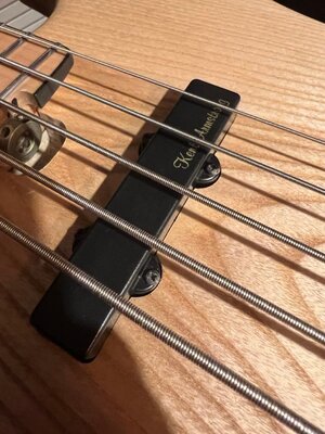 Groß (IMG_5503).jpeg