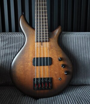 Skjold Greyling 5 (2021, Quad Coil, Passive)