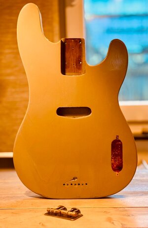 P54 Swamp Ash-Body + Retrovibe String Thru-Bridge