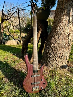 Zon Sonus custom 4 strings bass 1997 - Trans-violet