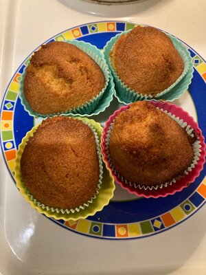 IMG_2896.jpeg IMG_2896.jpeg