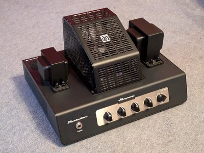 Ampeg PF-20T