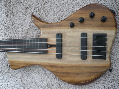Gesucht!!! Mein alter ACG Bass Krell 5 fretless SC